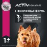EUK Dog корм для взрослых собак мелких пород 800 г