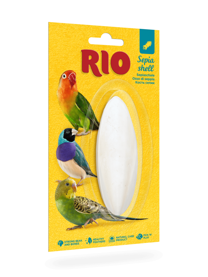 Рио Кость сепии (панцирь каракатицы)  для птиц